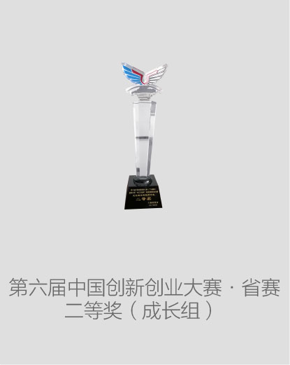 中國(guó)創(chuàng)新創(chuàng)業(yè)大賽（廣東賽區(qū)）成長(zhǎng)組二等獎(jiǎng)